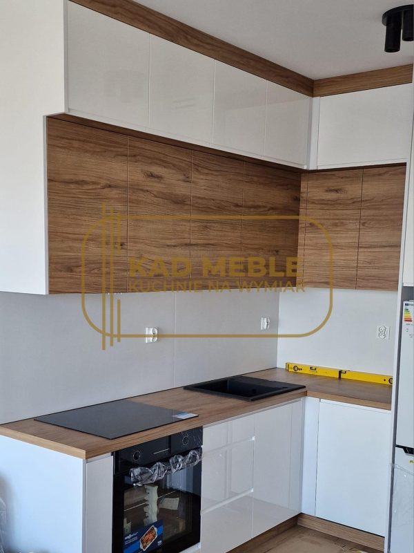 488251555_1186310369902900_8782962842636673544_n