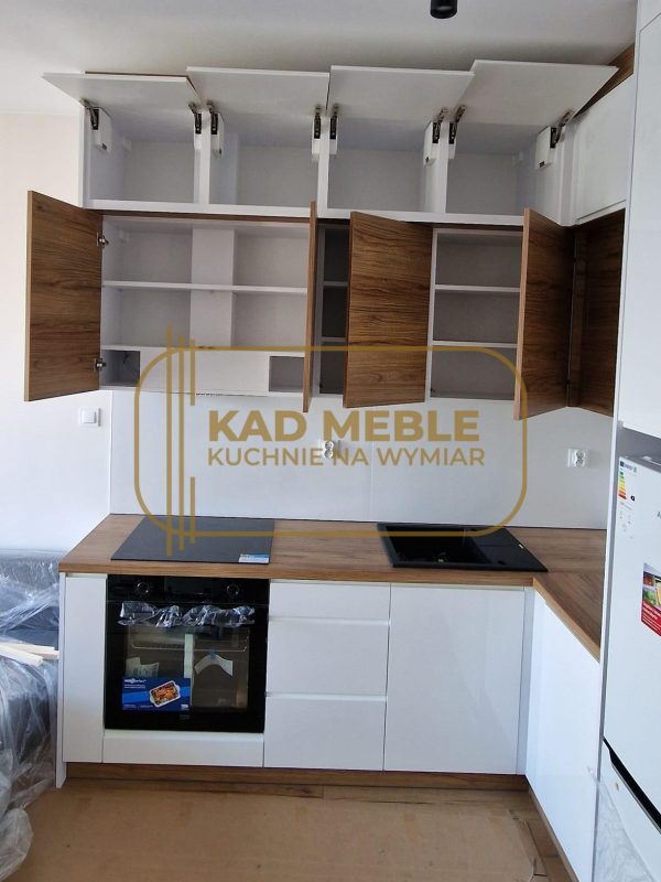 488867263_1186310376569566_886007075964741351_n