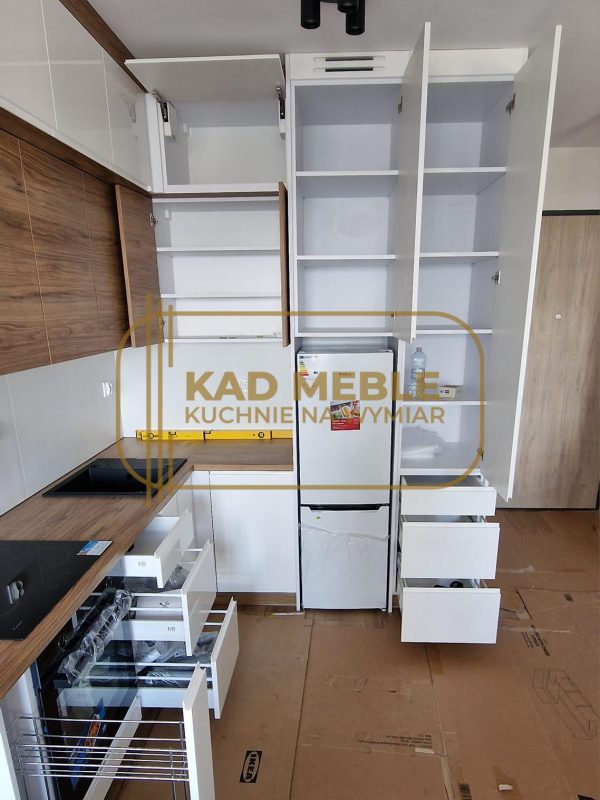 488904673_1186310366569567_3544758025007008842_n